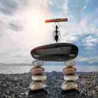 专‌业‌关​键​词‍优​化​排‌名‍